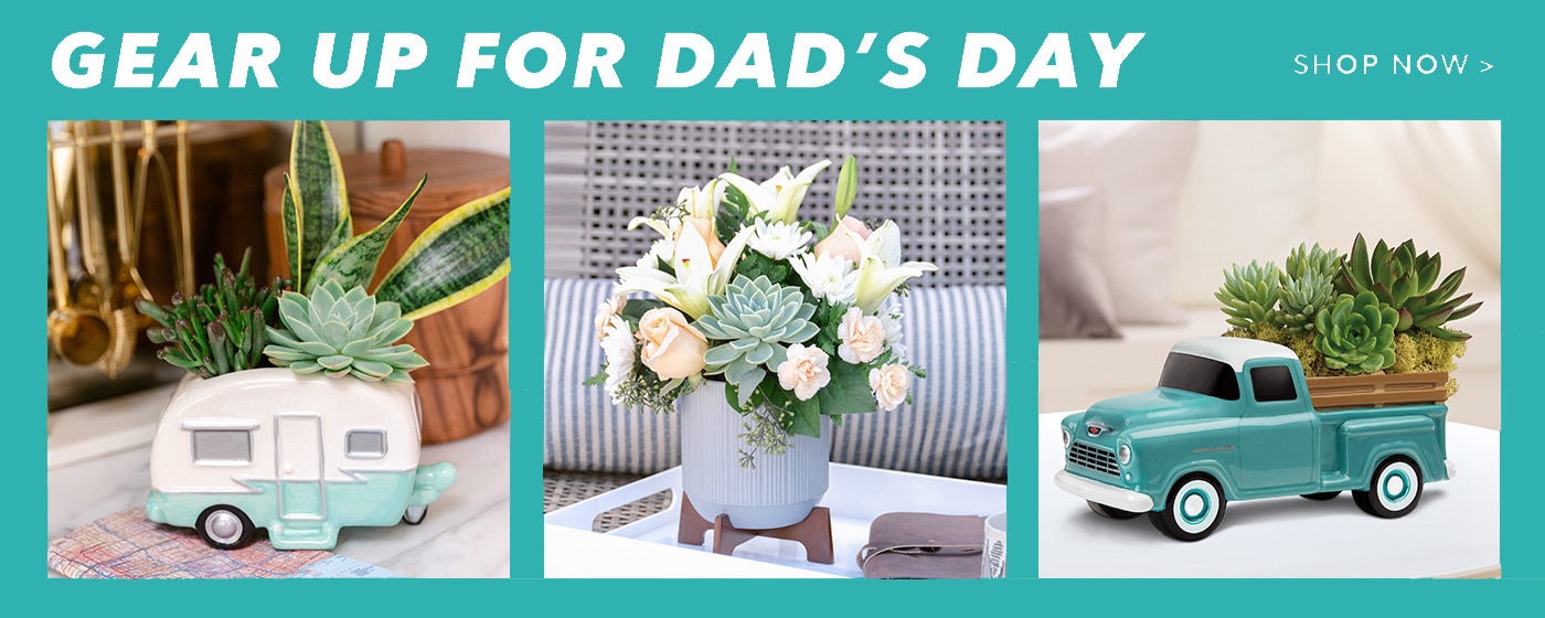 Homepage Banner for Father's Day  - Send Father's Day Flowers - Father's Day Flowers Delivery
