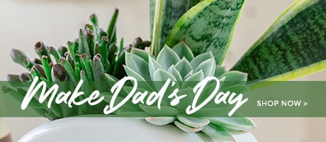  Father's Day Flowers Delivery - Send Father's Day Flowers